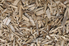 biomass boilers Drybrook